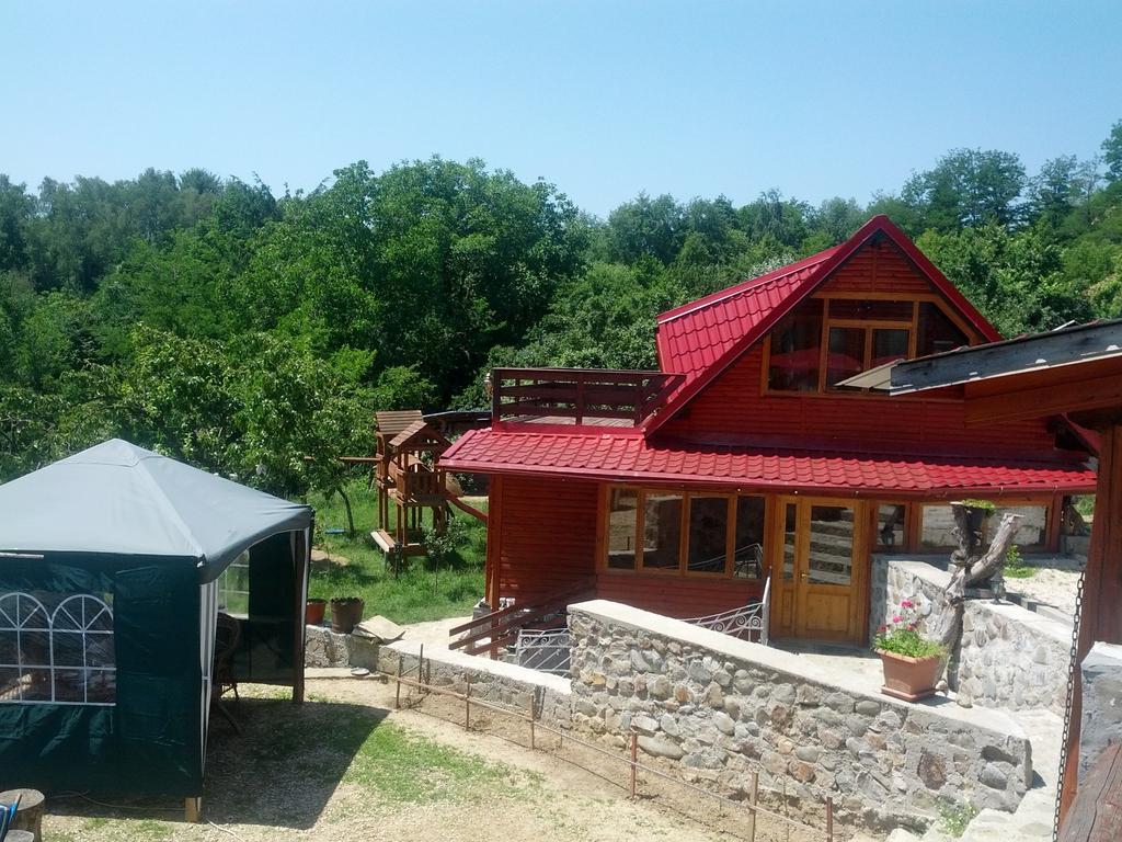 Pensiunea Magdalena Campulung Exterior photo